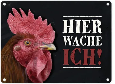 Produktbild von Metallschild mit Hahn Motiv und Spruch: Hier wache ich! Metallschild Türschild