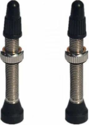 Produktbild von Progress Pg-716 Presta Ventile 2 Einheiten Silber 44 mm Silber 44 mm