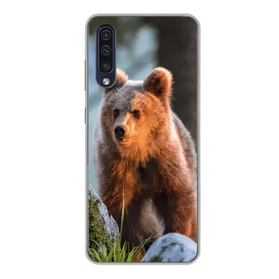 Produktbild von MuchoWow® Handyhülle Schutzhülle Hülle für Samsung Galaxy A50 Bär - Braun - Tier Silikon Softcase Handy Hülle - Mobiltelefonhülle