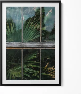 Produktbild von Gewächshausfenster und Pflanzen– Wandbild mit Rahmen – Gerahmtes Bild  – Wanddekoration – 70x100 cm –  Schwarz Rahmen