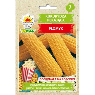 Produktbild von PŁOMYK Maisschrot 20g