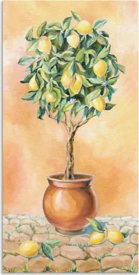 Produktbild von ARTland Wandbild Alu für Innen & Outdoor Zitronenbaum I Größe: 20x40 cm