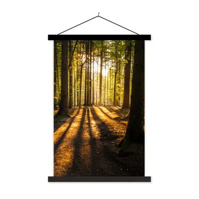 Produktbild von MuchoWow® Textilposter Sonne - Bäume - Wald - Landschaft - Natur 120x180 cm mit schwarzem Rahmen - Fotos