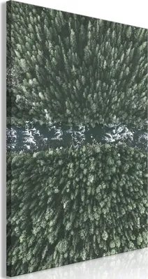 Produktbild von Italienischer Leinwand Leinwandbild - Forest River (1 Part) Vertical 40x60 cm Landschaften c-B-0600-b-a