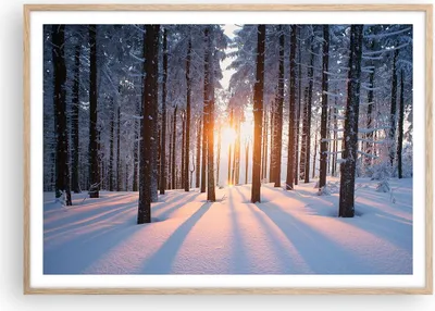 Produktbild von Gerahmtes Poster - Rahmen in heller Eiche - Wald Winter Schnee - 100x70 cm - Wand Bild - Wanddeko - Wandbilder - Wandposter - Bilderrahmen - Bilder - Kunstdruck - Wandbild - P2NAA100x70-3629