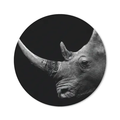 Produktbild von MuchoWow® Mauspad Mousepad Nashorn - Tiere - Schwarz - Weiß - Porträt 50x50 cm - Mousepads - Maus Mat - Pad - Mausunterlage - Vinyl