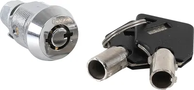 A lock and two keys are shown against a white background.