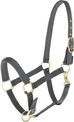 Image de Licol Covalliero Classy en nylon Stone Pony