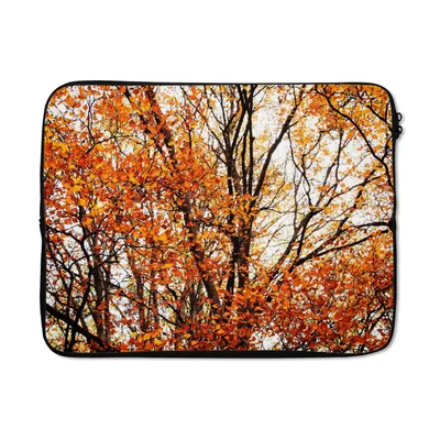 Produktbild von MuchoWow® Laptop Hülle 15 Zoll Wald - Herbst - Jahreszeiten Laptoptasche - Laptoptasche - Sleeve - Rundum-Schutz