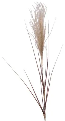 Produktbild von Weihnachtsdeko Pampasgras Natur beschneit 88 cm - Kunstblumen