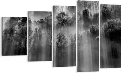 Produktbild von Bild auf Leinwand - Leinwandbild - 5 Teile - Bäume drinnen Nebel - 100x60cm - Wand Bild - Wanddeko - Wandbilder - Leinwanddruck - Bilder - Wanddekoration - Leinwand bilder - Wandbild - EG100x60-4889