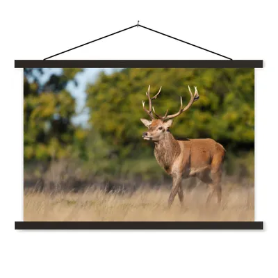 Produktbild von MuchoWow® Textilposter Tiere - Hirsche - Geweihe - Waldtiere - Natur 120x80 cm mit schwarzem Rahmen - Wanddeko