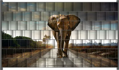 Produktbild von Wallario Zaunsichtschutz mit Motiv Elefant bei Sonnenaufgang in Afrika für Ein- und Doppelstabmatten Zäune in der Größe 250 x 140 cm