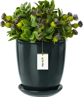 Produktbild von Blumentopf Blumenübertopf Graphit Blumenschale mit Untersetzer Rund BxH 160 mm x 165 mm Oberfläche Glanz Keramik Modern Glamour
