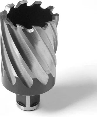 Zdjęcie produktu dla Długie wiertła do wkrętaków magnetycznych, 50 mm x 40 mm, uniwersalne