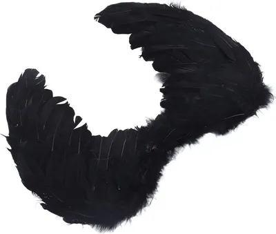 Produktbild von Feder Flügel Erwachsene Kinder Cosplay Lebendige Flügel Kostüm Accessoire für Halloween Weihnachten Party (Schwarz M 60 X 45cm / 23.6 X 17.7in )