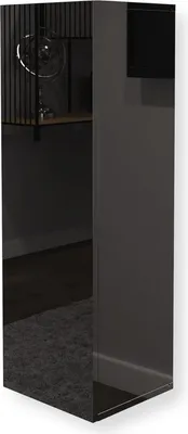 Produktbild von Hängeschrank Schwarz Hochglanz 35x105x32 (B x H x T) Seitenschrank Hängend Hochschrank Wohnzimmer Mehrzweckschrank