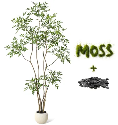 Immagine prodotto di Nandina artificiale da interno (bambù blu), 210 cm – Pianta ornamentale realistica per la casa, l'ufficio e il terrazzo, che non richiede manutenzione