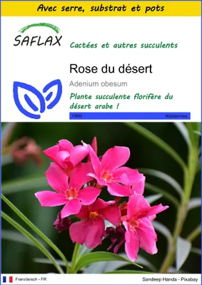 Image de SAFLAX Ensemble de culture - Rose du désert - 8 graines - Adenium