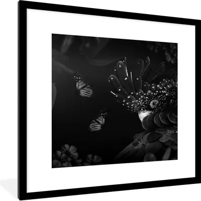 Produktbild von MuchoWow® Gerahmtes Poster Schmetterlinge - Pflanzen - Dschungel - Schwarz - Weiß 40x40 cm - Poster mit Schwarzem Bilderrahmen Wandposter Rahmen Foto Bilder - Poster - Plakat im Rahmen