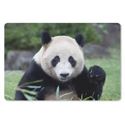 Produktbild von MuchoWow® Mauspad Mousepad Großer Panda - Gras - Steine 27x18 cm - Mousepads - Maus Mat - Pad - Mausunterlage - Büroartikel - Desk Matten