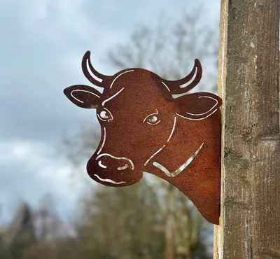 Produktbild von Kuh Kopf 30x30cm Edelrost zum Anschrauben Baumstecker Gartendeko Wetterfest Rost Metall Rostfigur Figur Tier Tierkopf Bulle Stier Gartenfigur