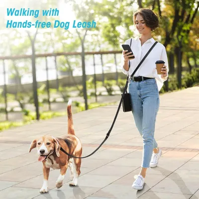 Produktbild von Freihandleinen für kleine & mittelgroße Hunde, Hundeleine 2.5m verstellbar Übungsleine & Führleine | Nylon Doppelleine mit 2 Karabiner Schwarz
