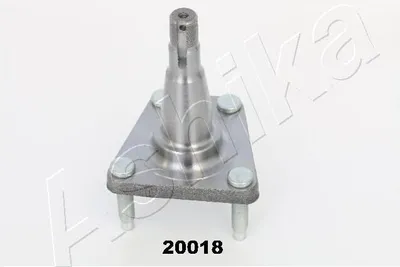 Produktbild von ASHIKA 44-20018 Radnabe Hinten für DAEWOO LANOS (KLAT)
