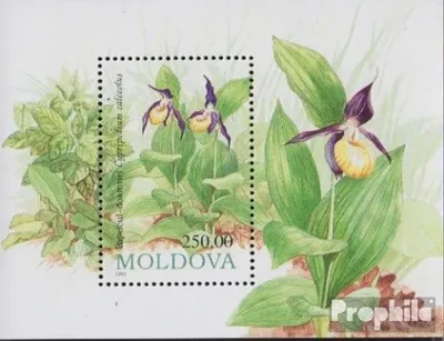 Produktbild von Briefmarken Moldawien 1993 Mi Block4 (kompl.Ausg.) postfrisch Orchidee