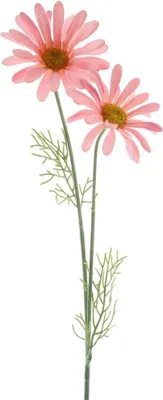 Produktbild von artplants.de Künstliche Margerite SOPY, rosa, 55cm - Kunstblumen Zweig