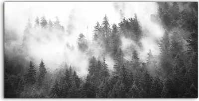 Produktbild von Coloray Acrylbild 140x70  Wandbild Acrylbilder Deko Landschafts Wald Neblige Berge