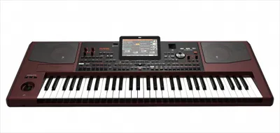 Obrázek produktu pro Korg Pa1000 - Profesionální Aranžér