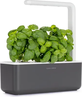 Produktbild von Click & Grow Click & Grow THE SMART GARDEN 3 Hausgarten Grau