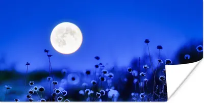 Produktbild von MuchoWow® Poster Blumen - Mond - Lila 40x20 cm - Poster für die Wand - Poster Schlafzimmer