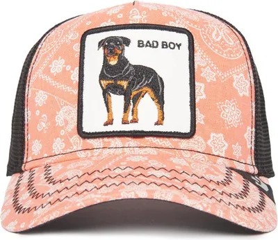 Produktbild von Goorin Bros. Lovey Paisley Trucker Cap The Farm Animal Pink