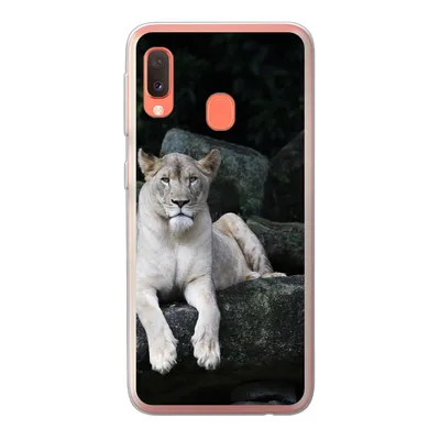 Produktbild von MuchoWow® Handyhülle Schutzhülle Hülle für Samsung Galaxy A20e Löwe - Wilde Tiere - Porträt Silikon Softcase Handy Hülle - Abdeckung