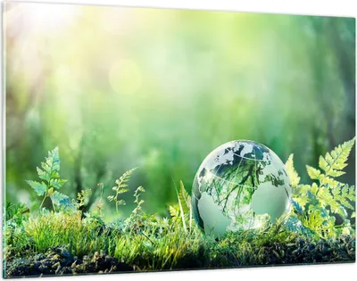 Produktbild von Bilder auf glas - natur natur - 120x80cm - Glasbilder - Wandbilder - Bilder - Kunstdruck - zum Aufhängen bereit - Wanddekoration aus Glas - Glas Bilder - Wandbild auf Glas - Einteilig - GAA120x80-4041