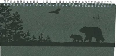Productafbeelding van Bureaukalender Nature Line Pine 2025 - Bureaukalender - Kantooragenda liggend, 29,7x13,5 cm - 1 week per pagina - Milieuvriendelijke kalender - met hardcover