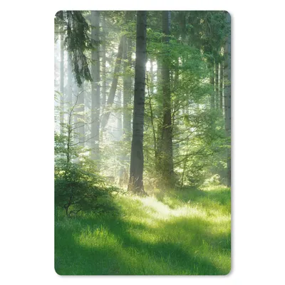 Produktbild von MuchoWow® Mauspad Mousepad Natur - Bäume - Wald - Grün - Sonne - Gras - Pflanzen 18x27 cm - Mousepads - Maus Mat - Pad - Mausunterlage