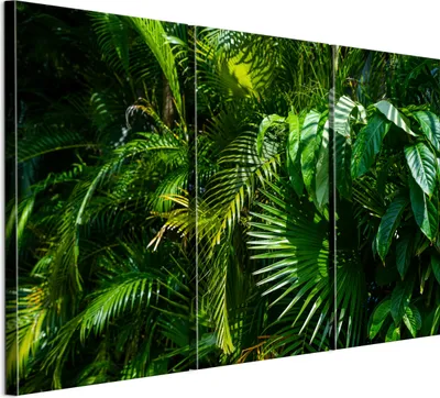 Produktbild von LUMASOUL Leinwand Bilder, Leinwandbild Natur Motiv, Wandbilder Holzrahmen und Webstuhl Wohnzimmer und Schlafzimmer, Bilder 90x60 cm Jungle