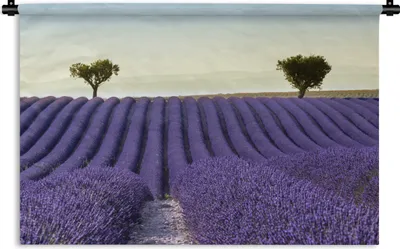Produktbild von MuchoWow® Wandteppich Wandbehang Lavendel - Bäume - Blumen - Natur 90x60 cm Tapisserie Dekoration Wandtuch - Wandskulpturen - Bildteppich