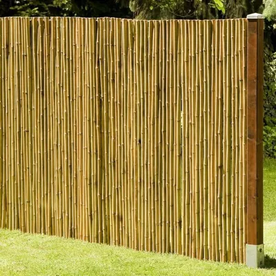 A close-up view of a bamboo fence in a garden setting.