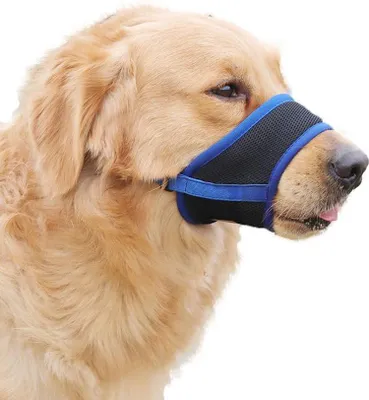 Produktbild von Zarte Maulkorb für Hunde - atmungsaktiv, verstellbar, verhindert Beißen und Bellen - blau L Maulkorb