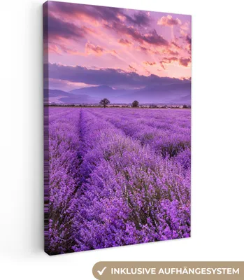 Produktbild von MuchoWow® - Leinwandbilder - Lavendel - Lila - Blumen - Feld, Wandbild, Wanddeko Bilder Wohnzimmer, 60x90 cm