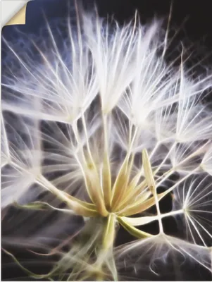 Produktbild von ARTland Wandbild, selbstklebend Pusteblume Nahaufnahme Größe: 30x40 cm