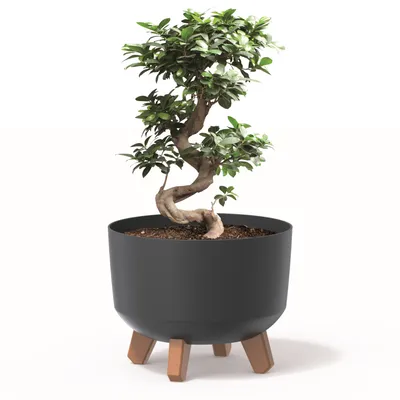 Produktbild von Blumentopf mit Füßen Pflanzkübel D 24 cm Kunststoff Anthrazit Töpfe mit Einsatz matt Übertöpfe Geldbaum Kakteen Gummibaum Glücksfeder
