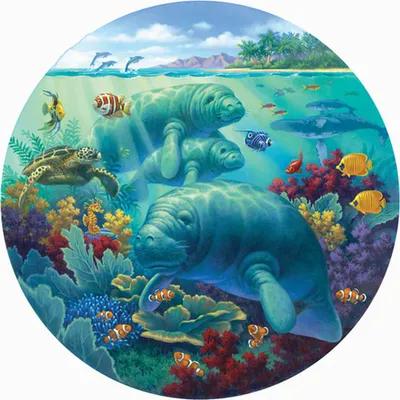 Obrázok produktu pre SunsOut Puzzle XXL dieliky - Manatee Beach - 500 dielikov