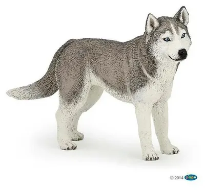 Produktbild von Papo Siberian Husky, Sammelfigur, Film & TV-Serien, 24 g