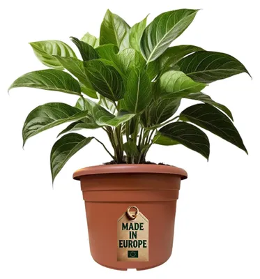 Zdjęcie produktu dla Doniczka z terakoty, 50 cm - odporna na promieniowanie UV i warunki atmosferyczne