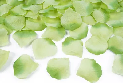 Immagine prodotto di Petali di rosa 100 pezzi, verde